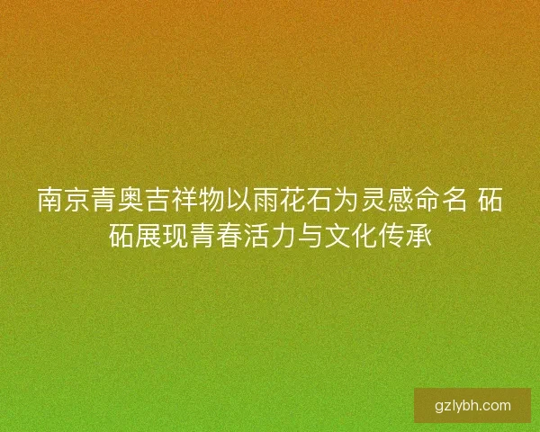 南京青奥吉祥物以雨花石为灵感命名 砳砳展现青春活力与文化传承